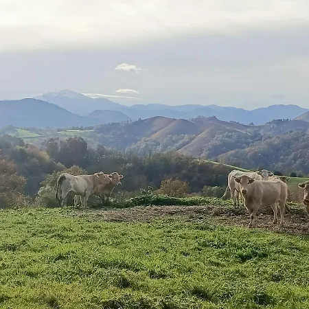 De Soulou 度假居 Aramits