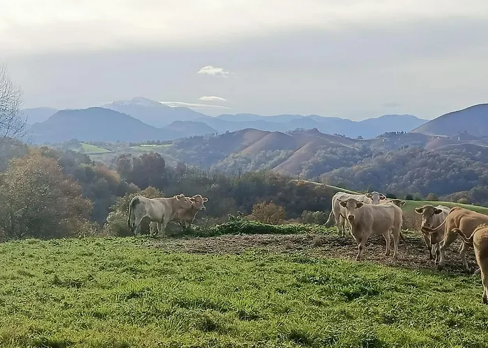 De Soulou Casa vacanze Aramits